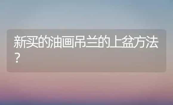 新买的油画吊兰的上盆方法? | 植物问答