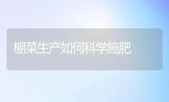 皱叶葛芭-软尾生菜 | 植物科普