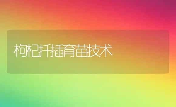枸杞扦插育苗技术 | 植物科普