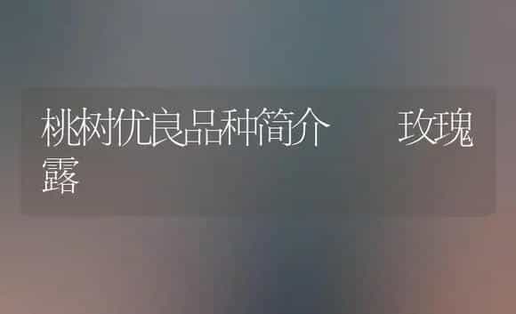 桃树优良品种简介――玫瑰露 | 植物科普