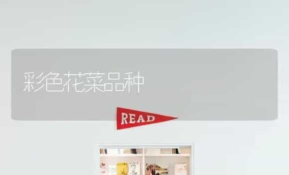 彩色花菜品种 | 植物科普