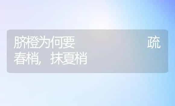 脐橙为何要      疏春梢,抹夏梢 | 植物科普
