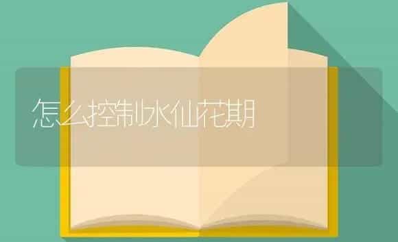 怎么控制水仙花期 | 植物知识