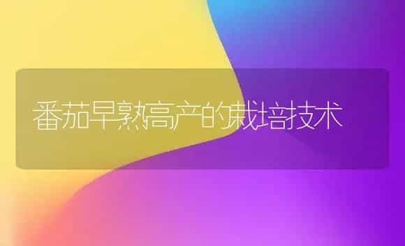 番茄早熟高产的栽培技术 | 植物科普