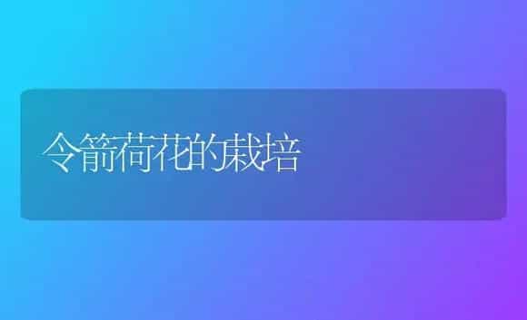 令箭荷花的栽培 | 植物科普