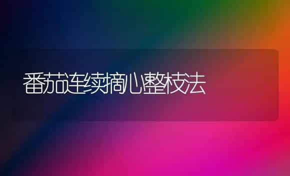 番茄连续摘心整枝法 | 植物科普