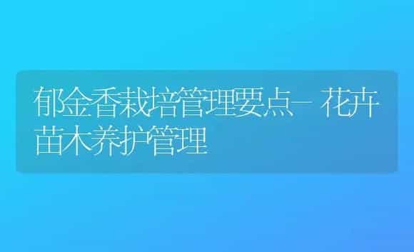 郁金香栽培管理要点-花卉苗木养护管理 | 植物科普