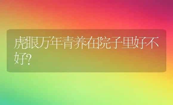 虎眼万年青养在院子里好不好？ | 植物问答