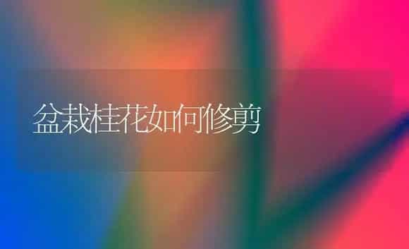 盆栽桂花如何修剪 | 植物科普