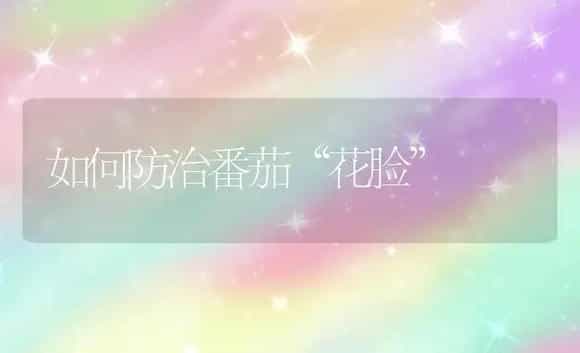 如何防治番茄“花脸” | 植物科普