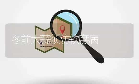 杨梅罐头加工工艺 | 植物百科