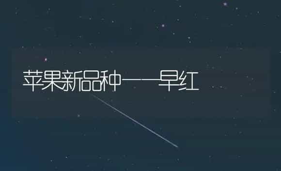 苹果新品种——早红 | 植物百科