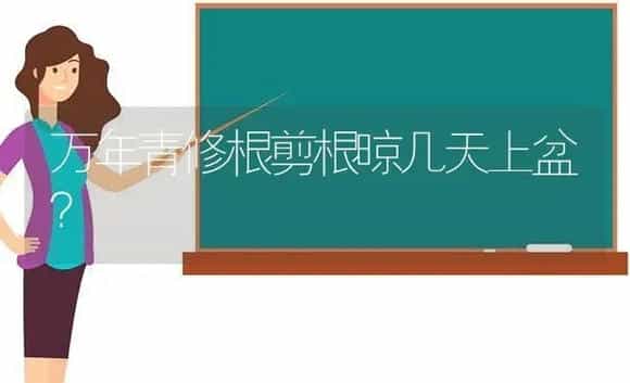 万年青修根剪根晾几天上盆? | 植物问答