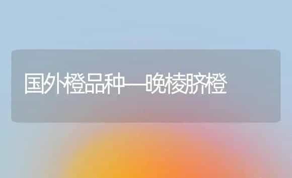 国外橙品种—晚棱脐橙 | 植物科普
