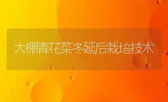 大棚青花菜冬延后栽培技术 | 植物科普