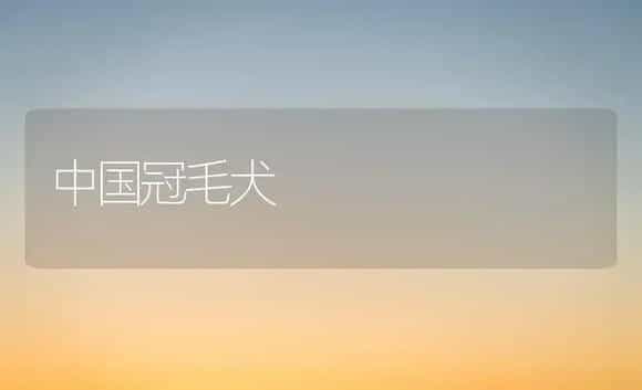 中国冠毛犬 | 植物科普