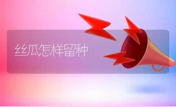 丝瓜怎样留种 | 植物资料