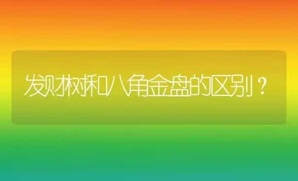 发财树和八角金盘的区别？ | 植物问答