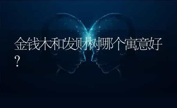 金钱木和发财树哪个寓意好？ | 植物问答