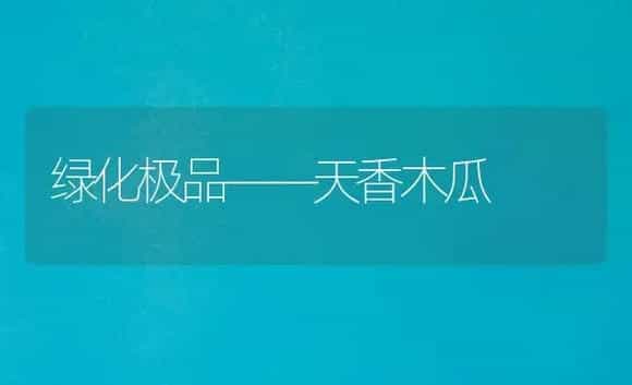 荷花怎样过冬天 | 植物科普