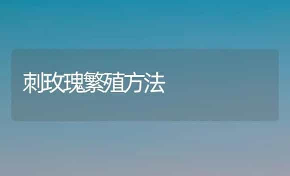 刺玫瑰繁殖方法 | 植物科普