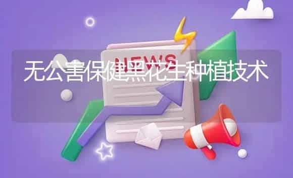 无公害保健黑花生种植技术 | 植物资料