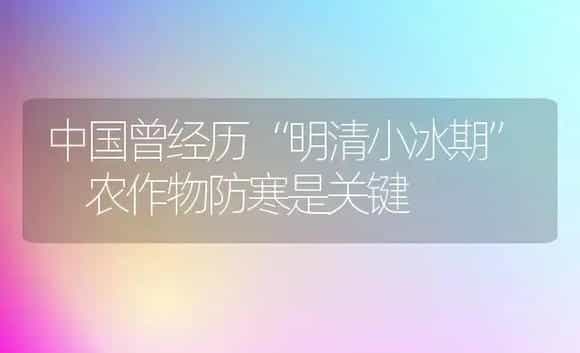 中国曾经历“明清小冰期” 农作物防寒是关键 | 植物科普