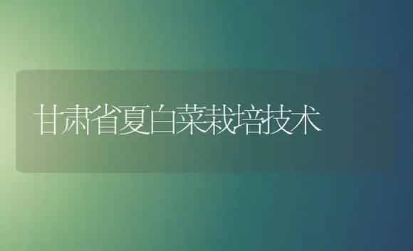 甘肃省夏白菜栽培技术 | 植物科普
