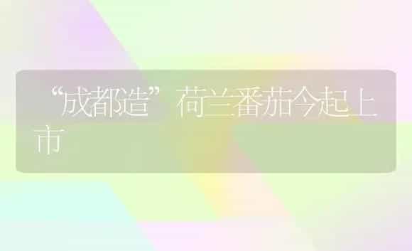 “成都造”荷兰番茄今起上市 | 植物科普