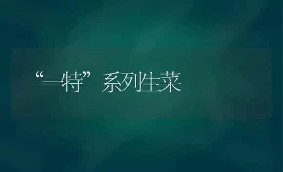 “一特”系列生菜 | 植物科普