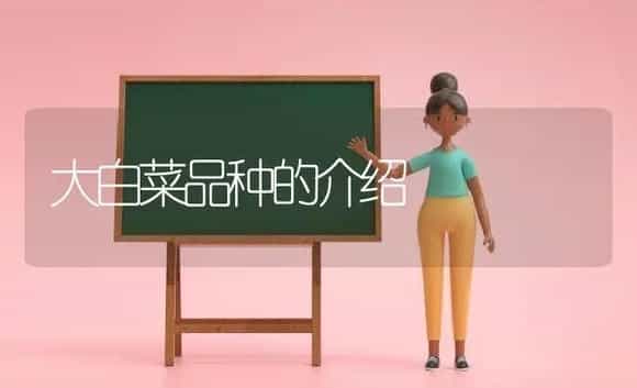 大白菜品种的介绍 | 植物科普