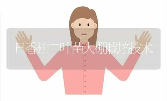 日香桂二叶苗大棚栽培技术 | 植物科普