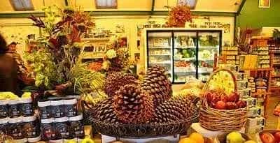 街头水果店都在赚钱吗?
