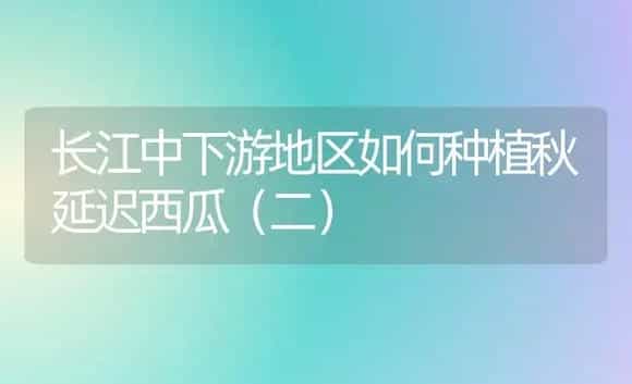 桂花秋插育好苗 | 植物科普
