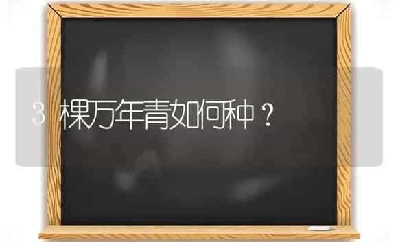 3棵万年青如何种？ | 植物问答