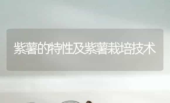 紫薯的特性及紫薯栽培技术 | 植物百科