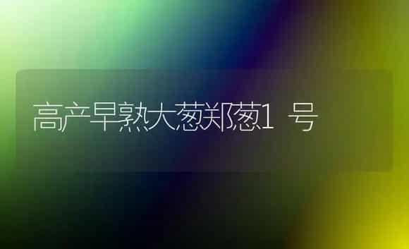 高产早熟大葱郑葱1号 | 植物科普