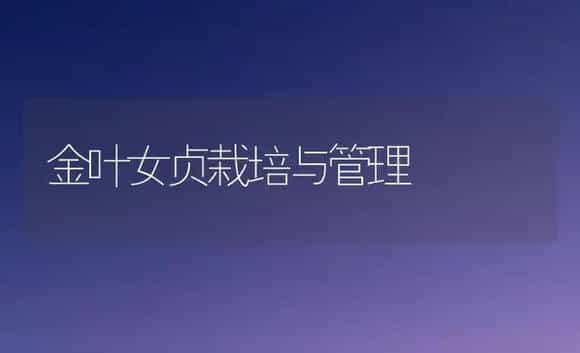 金叶女贞栽培与管理 | 植物科普