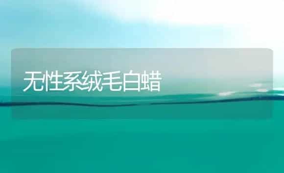无性系绒毛白蜡 | 植物科普