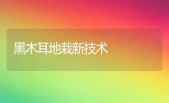 黑木耳地栽新技术 | 植物科普