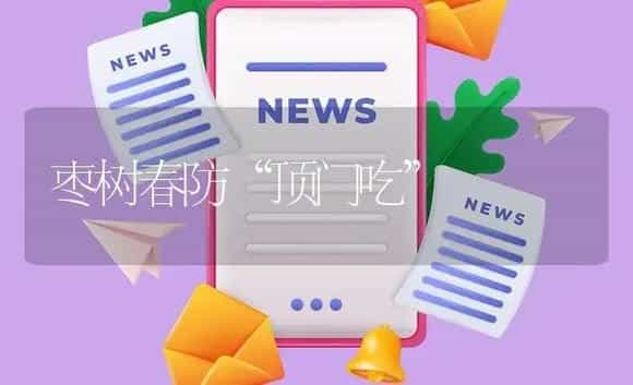 枣树春防“顶门吃” | 植物资料