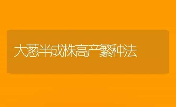大葱半成株高产繁种法 | 植物科普