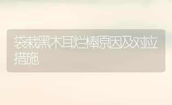 袋栽黑木耳烂棒原因及对应措施 | 植物科普