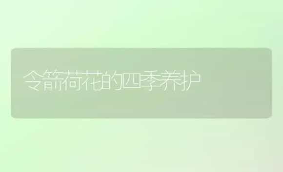 令箭荷花的四季养护 | 植物知识
