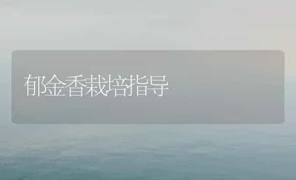 郁金香栽培指导 | 植物科普