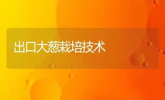 出口大葱栽培技术 | 植物科普