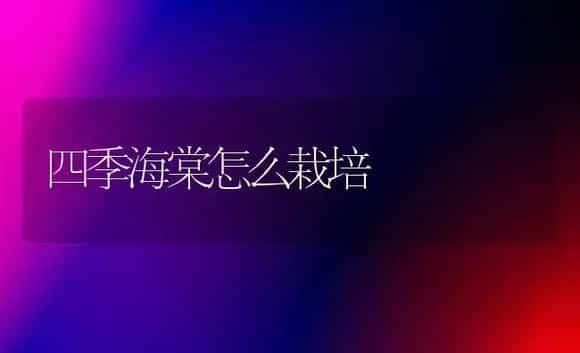 四季海棠怎么栽培 | 植物知识