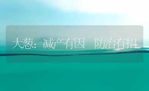 大葱：减产有因 防治有招 | 植物科普