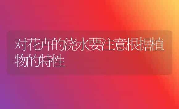 桂花无土盆栽技术 | 植物科普