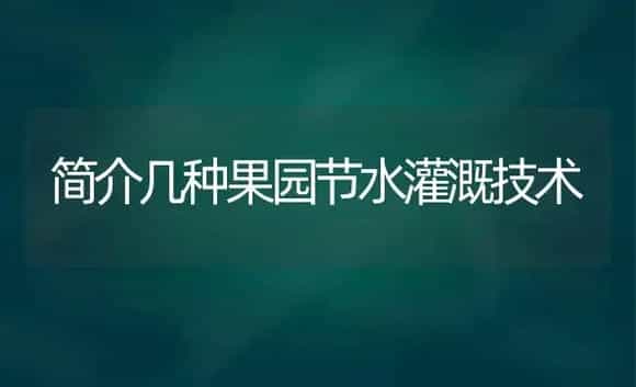 四季桂花树的栽培技术 | 植物科普